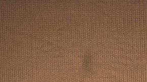 Familia de Kate del Castillo | Mezcalent.