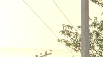 Sube a 53 los muertos en accidente de migrantes en Chiapas; FGR asume investigación