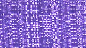 Sergio Mayer | Mezcalent.