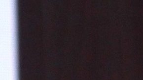 Ariadne Díaz está desconsolada después de que un cocodrilo devorara a su perra