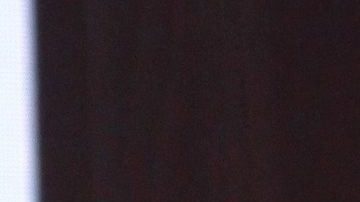 Ariadne Díaz está desconsolada después de que un cocodrilo devorara a su perra