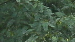 Vehículo cae a barranco en Bolivia y deja 7 muertos