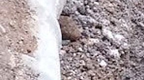 Arqueólogos encuentran 17 entierros del siglo XIX frente a cementerio de la Ciudad de México