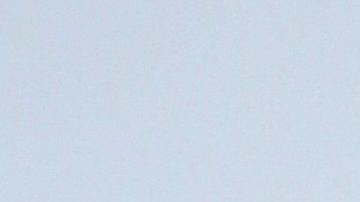 Raúl Araiza | Mezcalent.