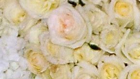 Michelle Salas | Mezcalent.