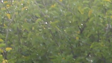 Accidente de avión en California sin sobrevivientes después de caer en un bloque residencial