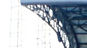 Leones del Escogido Training Session - Dominican Baseball League