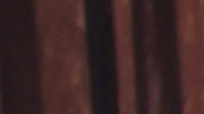 Alicia Machado sigue prefiriendo los escotes y las transparencias.