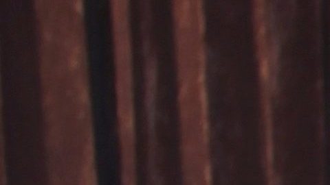 Alicia Machado sigue prefiriendo los escotes y las transparencias.