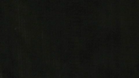 Alicia Machado y Roberto Romano dan por concluida su relación.