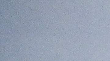 AstraZeneca y Oxford comenzaron a trabajar en vacuna contra la variante Ómicron