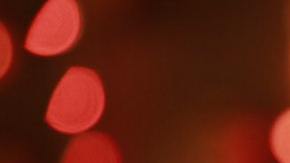 Botellas de champán