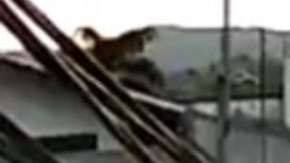 CJNG ataca a policías en Michoacán.