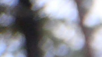 Vengativos y con todo el poder, los hijos de El Chapo que valen $20 millones