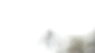 Checo Pérez junto a Max Verstappen.