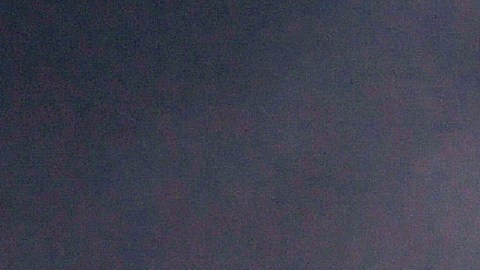 Cientos de pájaros mueren misteriosamente en pleno vuelo en España y caen sobre las personas y los autos