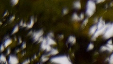 Cómo una profesora de Long Beach ayudó a conseguir fondos para servicios para personas sin hogar