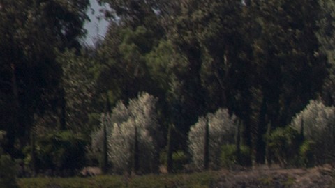 Condado de Los Ángeles no planea cierres ni bloqueos ante Ómicron