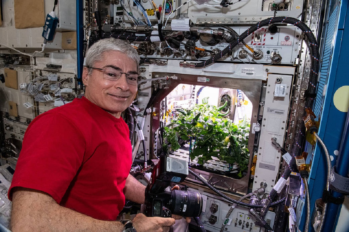 Cultivo de chiles en el espacio