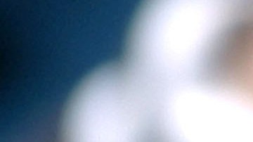 Estadounidenses pesimistas de lo que 2022 tiene reservado para EE.UU., según encuesta