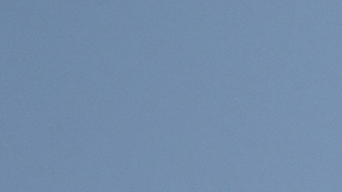 Ex modelo de Playboy y actriz de Baywatch identificada como agresora en vuelo de Delta