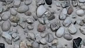 FDA autoriza pastilla de Pfizer para tratar el Covid-19 en pacientes de alto riesgo