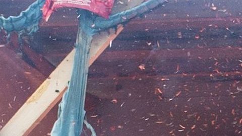 Incendio que comenzó con árbol de Navidad mató a padre y sus dos hijos en Pensilvania, según investigación