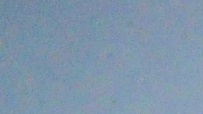 Crucero Carnival Freedom atraca en Miami y se convierte en el tercero en regresar con positivos de Covid-19