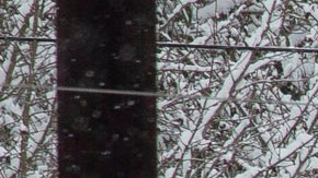 Tormenta invernal podría traer 10 pies de nieve y una rara Navidad blanca a partes de EE.UU.