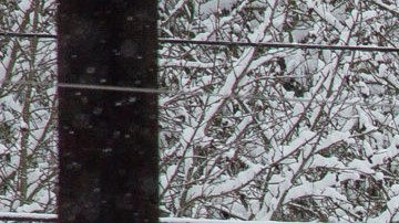 Tormenta invernal podría traer 10 pies de nieve y una rara Navidad blanca a partes de EE.UU.