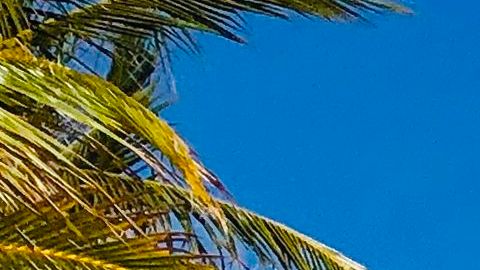 Se vive nueva balacera en zona hotelera de Cancún; aún no hay detenidos