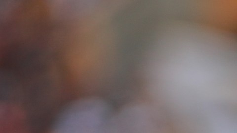 El defensa madrileño Alejandro Arribas jugó en el conjunto de Pumas.