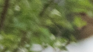 Policía en Carolina del Norte. Imagen de archivo.