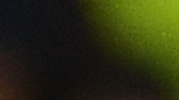 Stefano Sensi celebra un gol