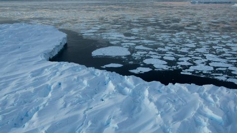 Descubren en la Antártida ecosistema oculto durante miles de años