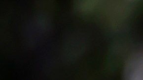 VIDEO: Ejército realiza mega operativo y detienen a miembro del CJNG relacionado con secuestro de marinos