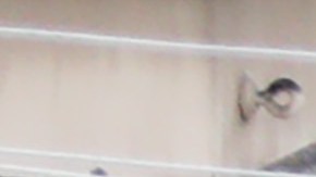 LOS ANGELES, CALIFORNIA - SEPTEMBER 28: People walk in Skid Row while new school supplies were donated to thousands, including new athletic shoes donated by Foot Locker, at Fred Jordan Missions on Skid Row, on September 28, 2019 in Los Angeles, California. Fred Jordan Missions, which feeds over 100 people experiencing homelessness daily, hosts the annual event with Foot Locker. They donated new sneakers and other school supplies to more than 3,000 underprivileged and homeless children this year. (Photo by Mario Tama/Getty Images)