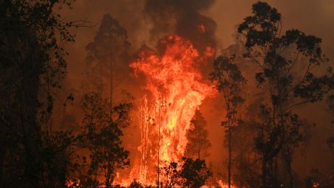 Incendio en Chile arrasa 60 casas y obliga evacuación de cientos de personas