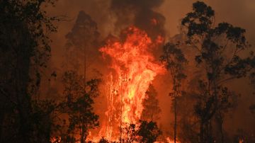 Incendio en Chile arrasa 60 casas y obliga evacuación de cientos de personas