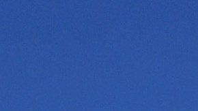 Árboles derribados por tormentas