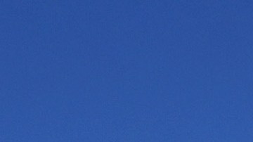 Árboles derribados por tormentas