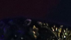 Vicente Fernández en los Latin Grammy | Rich Fury/Getty Images.