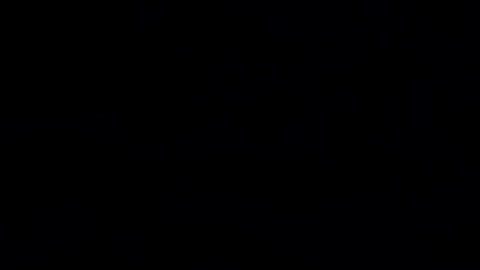 Shakira bailando