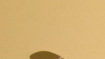 Diego Luna | Getty Images