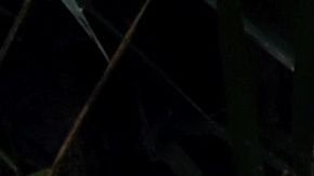 Lluvias en Brasil dejan más de 400 mil afectados y 18 muertes