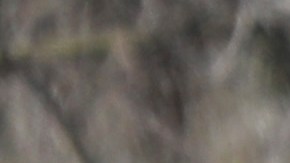 DirecTV Stream incrementará sus precios en enero de 2022-GettyImages-1207367678.jpeg