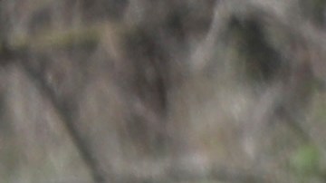 DirecTV Stream incrementará sus precios en enero de 2022-GettyImages-1207367678.jpeg