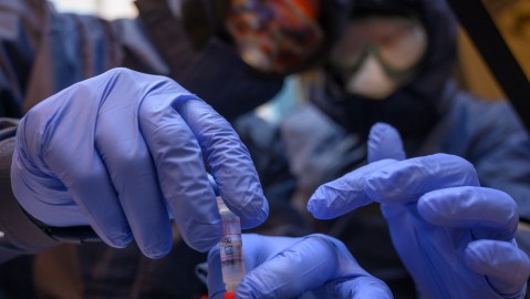 Ántrax pasa de arma terrorista a una opción para nuevas terapias en el tratamiento del dolor