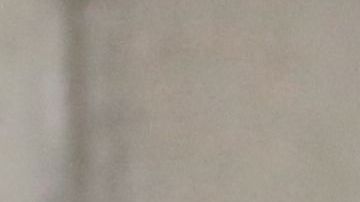 El arzobispo de París, Michel Aupetit.