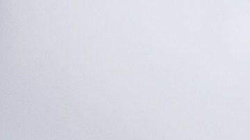 A pigeon is seen in front of the LAFD Station No9 at Skid Row on April 12, 2020 in downtown Los Angeles, California. - One of the busiest fire station in the country , LA Fire Station 9 is on the front lines of California's homeless crisis e Coronavirus pandemic. (Photo by Apu GOMES / AFP) (Photo by APU GOMES/AFP via Getty Images)